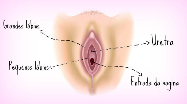 imagem da vulga, e dos locais onde é possível colocar um piercing genital